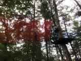 Jugendorchester im Kletterwald Th&uuml;lsfelder Talsperre