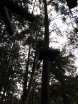 Jugendorchester im Kletterwald Thülsfelder Talsperre