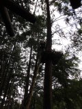 Jugendorchester im Kletterwald Th&uuml;lsfelder Talsperre