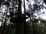 Jugendorchester im Kletterwald Th&uuml;lsfelder Talsperre
