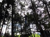 Jugendorchester im Kletterwald Th&uuml;lsfelder Talsperre