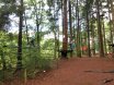 Jugendorchester im Kletterwald Thülsfelder Talsperre