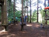 Jugendorchester im Kletterwald Th&uuml;lsfelder Talsperre