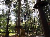 Jugendorchester im Kletterwald Th&uuml;lsfelder Talsperre