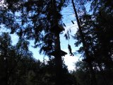 Jugendorchester im Kletterwald Th&uuml;lsfelder Talsperre