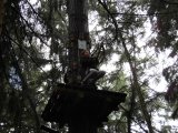Jugendorchester im Kletterwald Th&uuml;lsfelder Talsperre