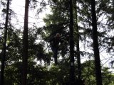 Jugendorchester im Kletterwald Th&uuml;lsfelder Talsperre