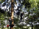 Jugendorchester im Kletterwald Th&uuml;lsfelder Talsperre