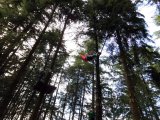 Jugendorchester im Kletterwald Th&uuml;lsfelder Talsperre