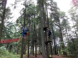 Jugendorchester im Kletterwald Th&uuml;lsfelder Talsperre