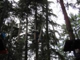Jugendorchester im Kletterwald Th&uuml;lsfelder Talsperre