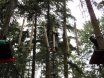 Jugendorchester im Kletterwald Thülsfelder Talsperre
