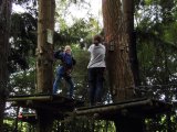 Jugendorchester im Kletterwald Th&uuml;lsfelder Talsperre
