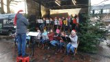 Weihnachtsmarkt Lutten